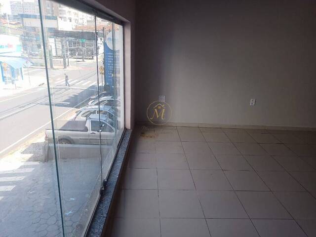 Salão Comercial para Locação em São José do Rio Preto - 4