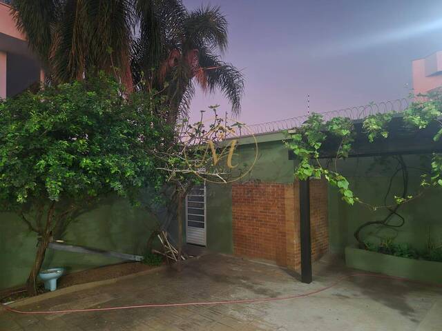 Casa para Locação em São José do Rio Preto - 4